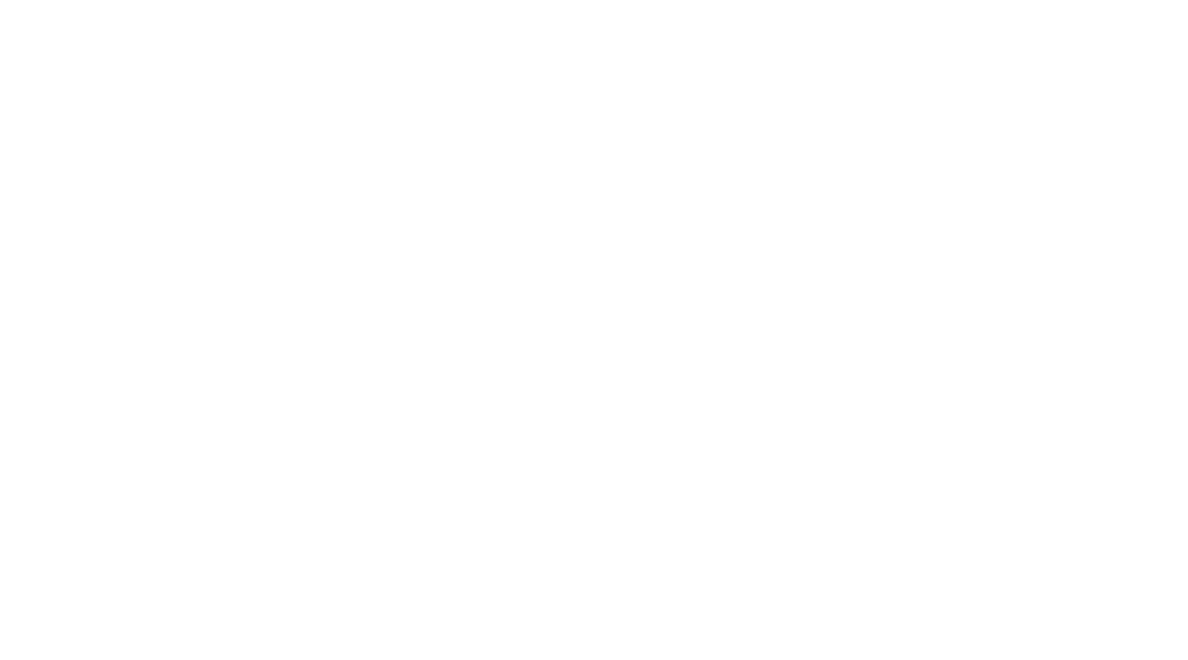 nine.com.au logo