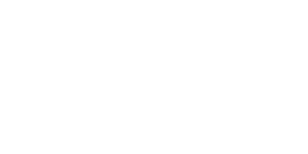 Flying Solo logo
