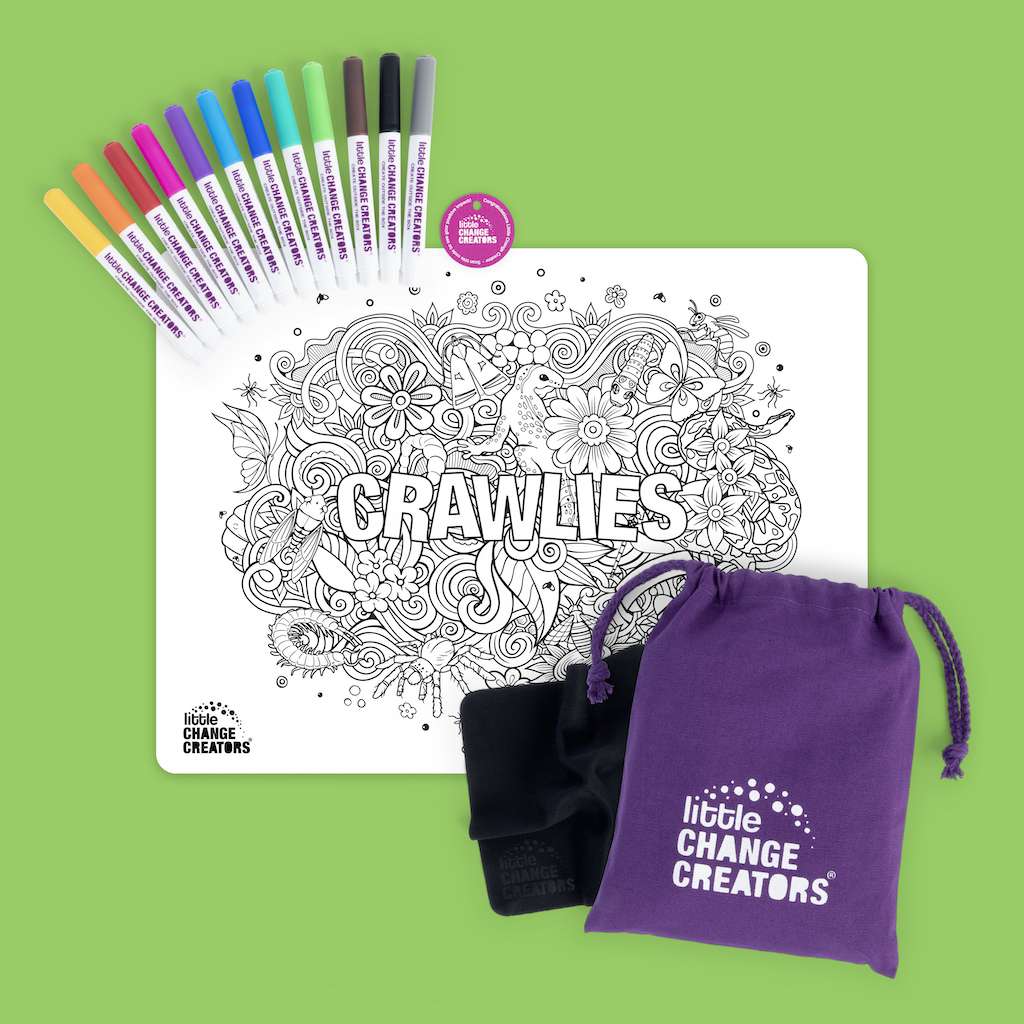 Reusable Colouring Pictures